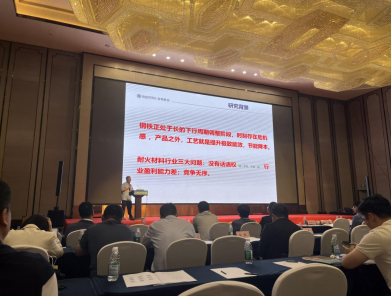 庆祝第十九届全国耐火材料青年学术报告会成功举办--董素云