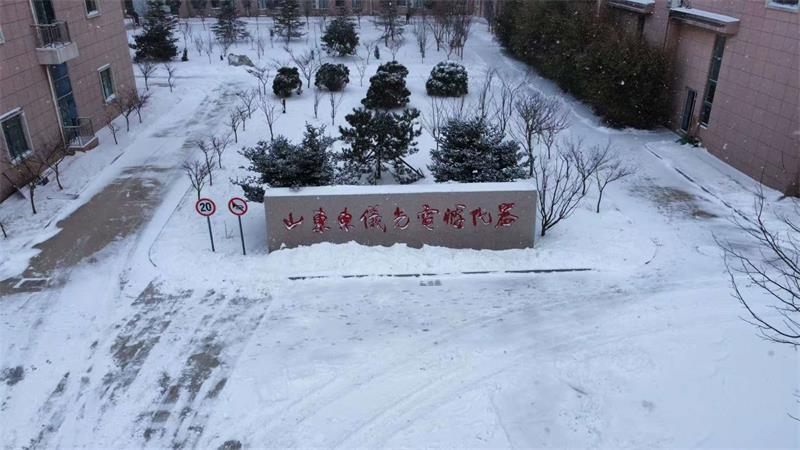大雪飘落   童话东仪